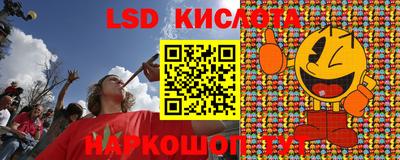 индика Тверь
